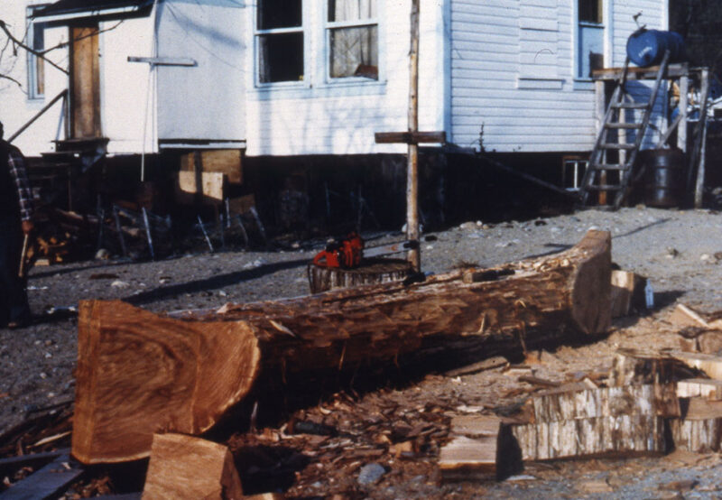 A large cut tree log laying on the ground in front of a white house with steps, windows, and a ladder. A chainsaw rests on top of the log.