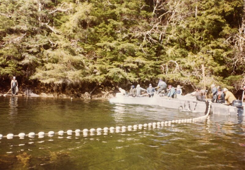Fishermen on a boat in a forest-lined river work with a long fishing net partially submerged in the water.