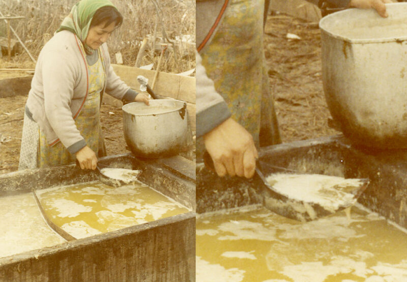 A person wearing a headscarf scoops milk from a large container into a smaller pot in an outdoor setting.
